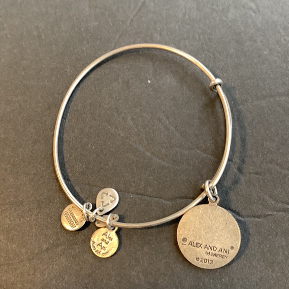 ALEX AND ANI BRACELET - Picture 2 of 2